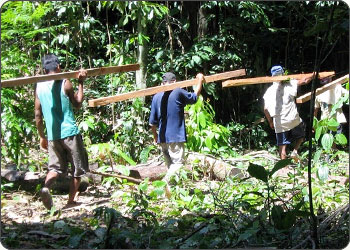 Workers carrying posts