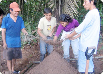 Agronomist using wire mesh to sift soil