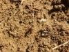  Integrated Pest Management
