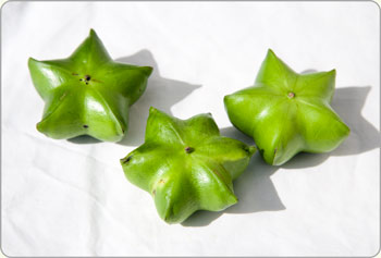 sacha inchi seed pods freshly picked