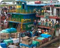 Eco Ola Blog Section - Peruvian Harbor